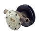 Pompe de refroidissement pour moteur Yanmar 128397-42500, 128990-42500