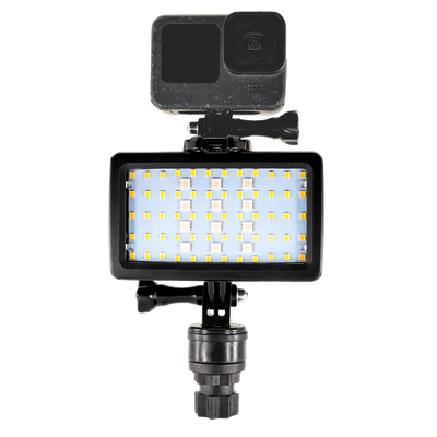 Pêche - NA - Lampe LED (blanc et rouge) avec récepteur pour appareil photo Night Ops