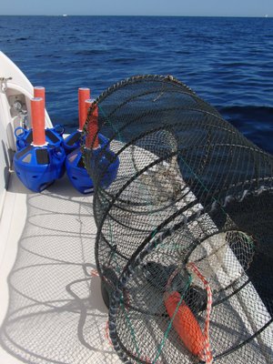 Mouillage - NA - GO!UP NEO : Bouée pour casier automatique émergente