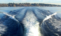 Quicksilver seattle boating
